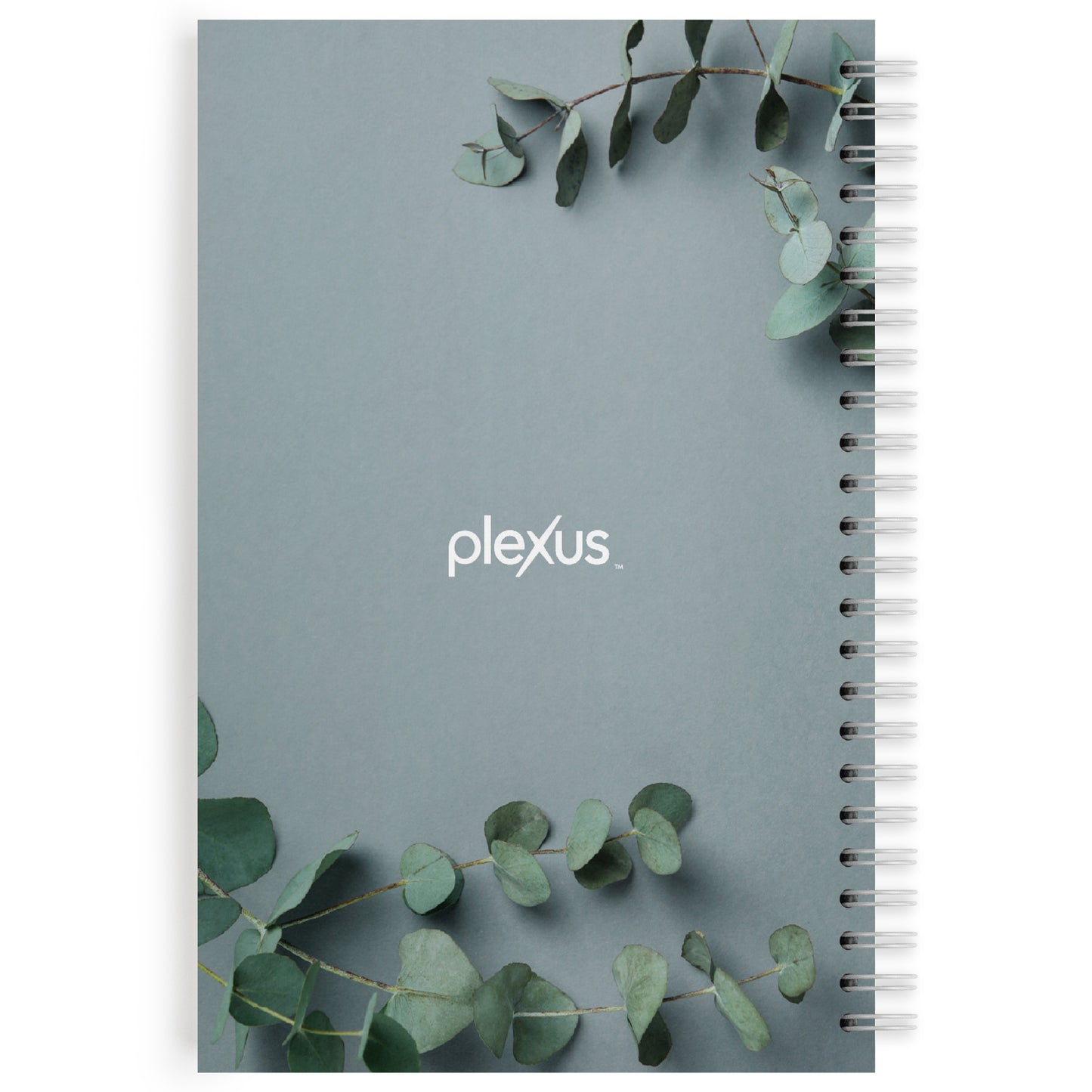Plexus® Eucalyptus Notebook